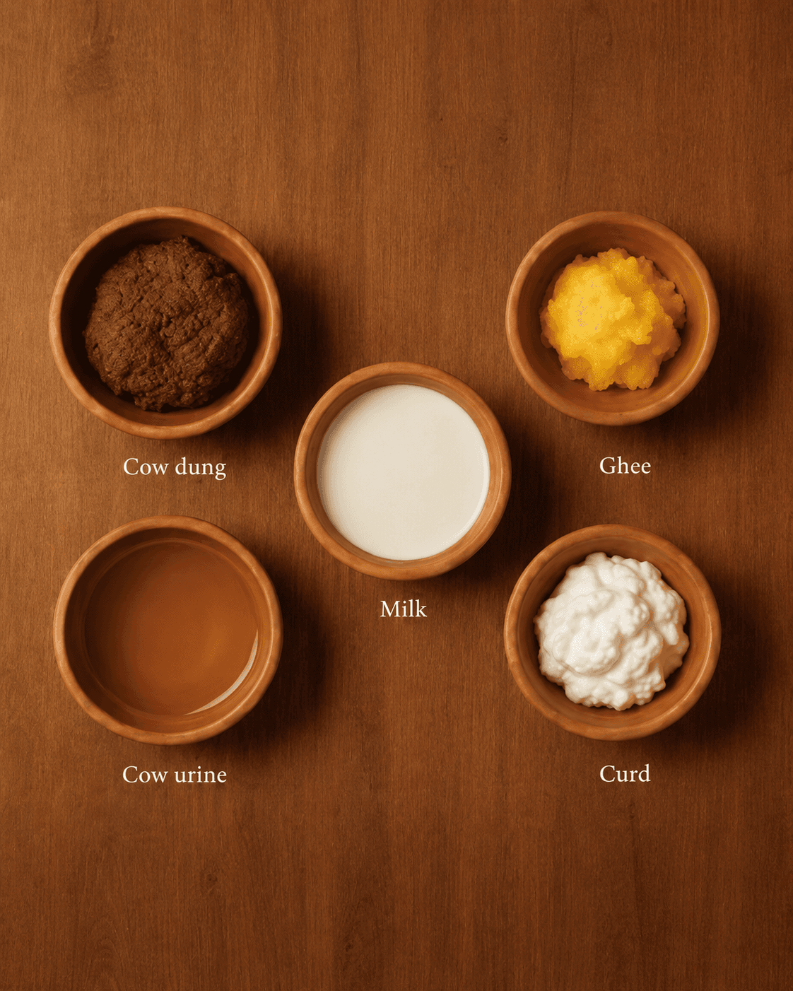 Panchagavya — cow dung, ghee, milk, cow urine, curd