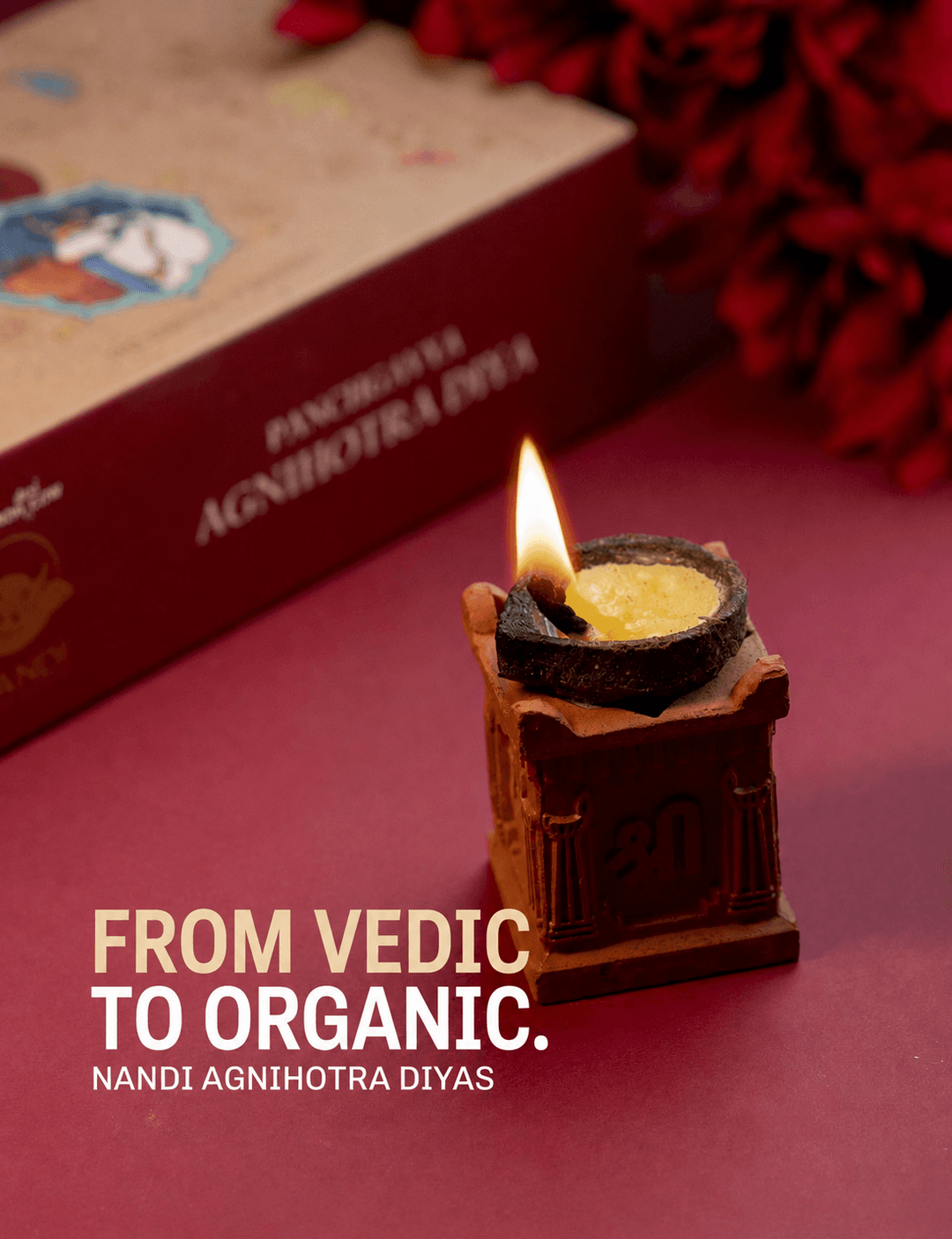 Immunity Booster Havan Diya